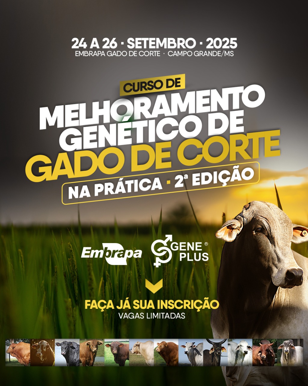Imagem do PopUp